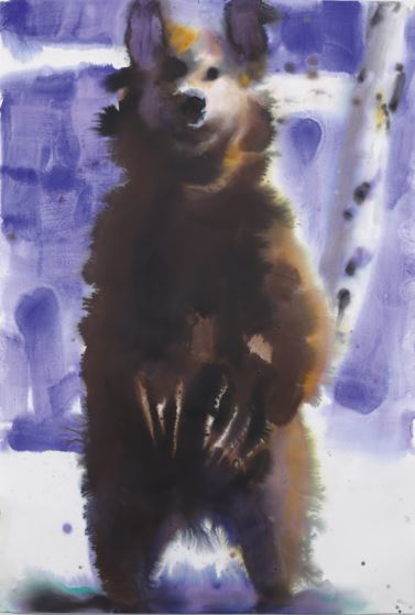 Paradise circus - bear