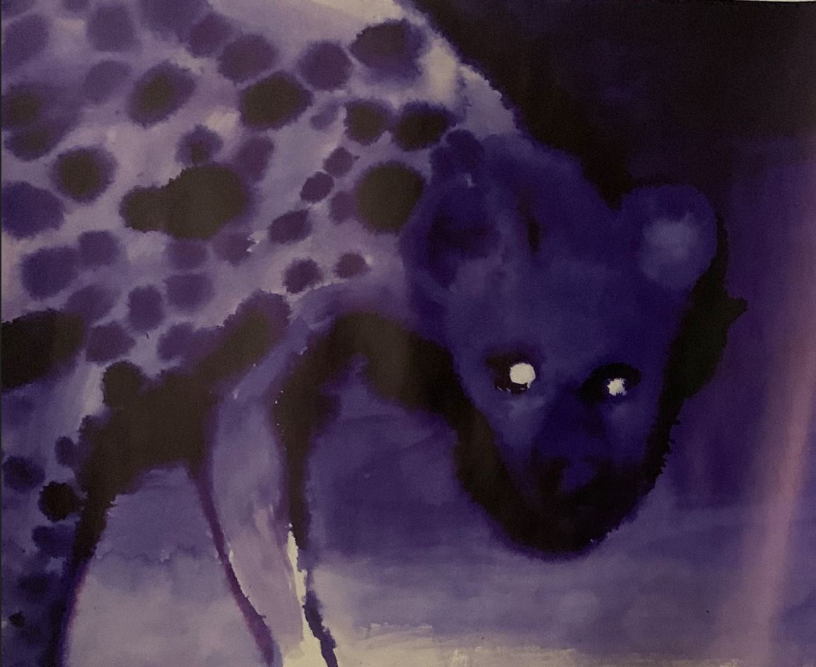 Paradise circus - hyena